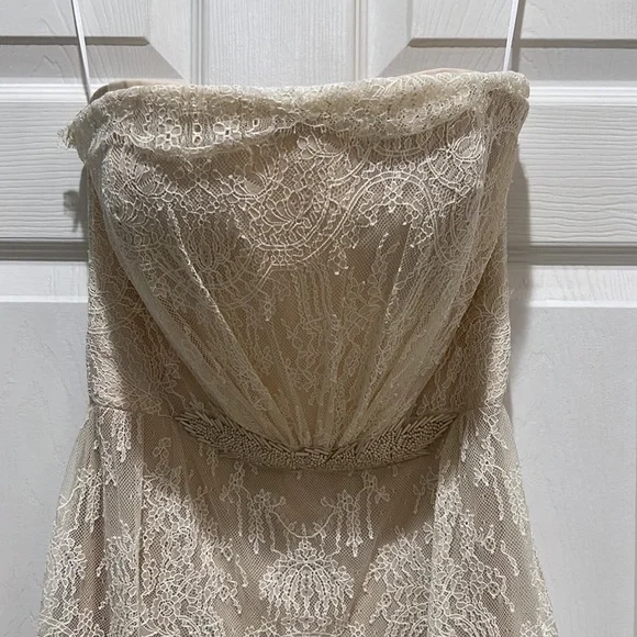 Custome 1 of 1 dress - Picture 2 of 4